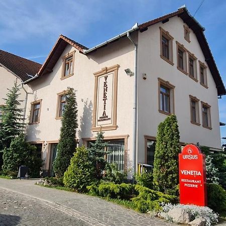 Pensiunea Venetia Sighişoara Exterior foto